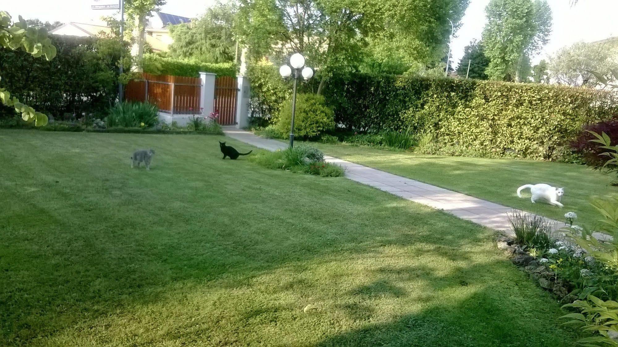 B&B Le Tre Grazie San Martino di Lupari Eksteriør billede